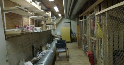 20110420_002.jpg